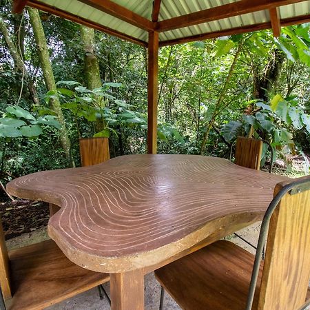 Forest Garden House モンテベルデ エクステリア 写真