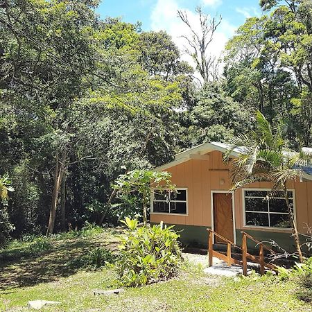Forest Garden House モンテベルデ エクステリア 写真