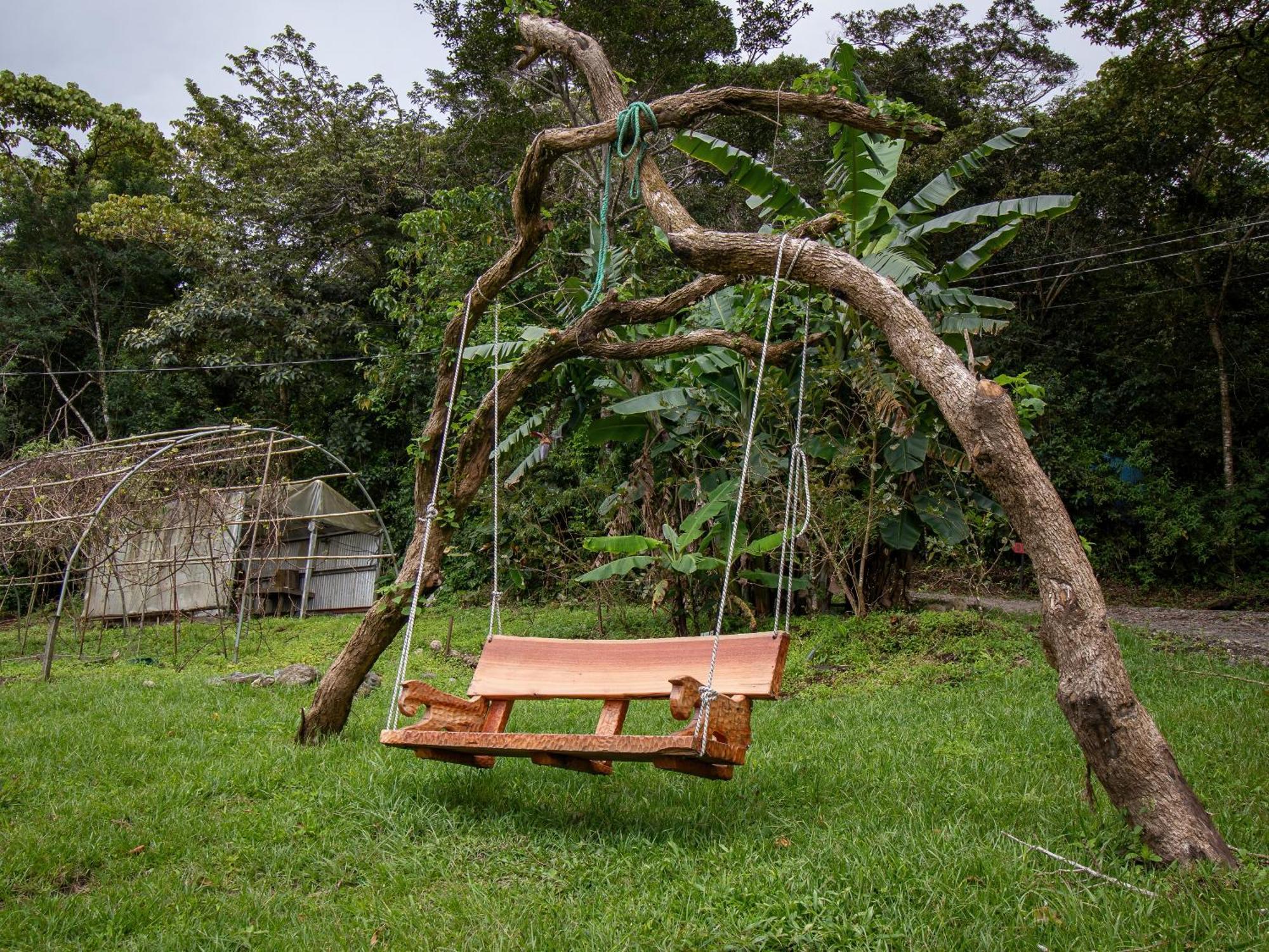 Forest Garden House モンテベルデ エクステリア 写真