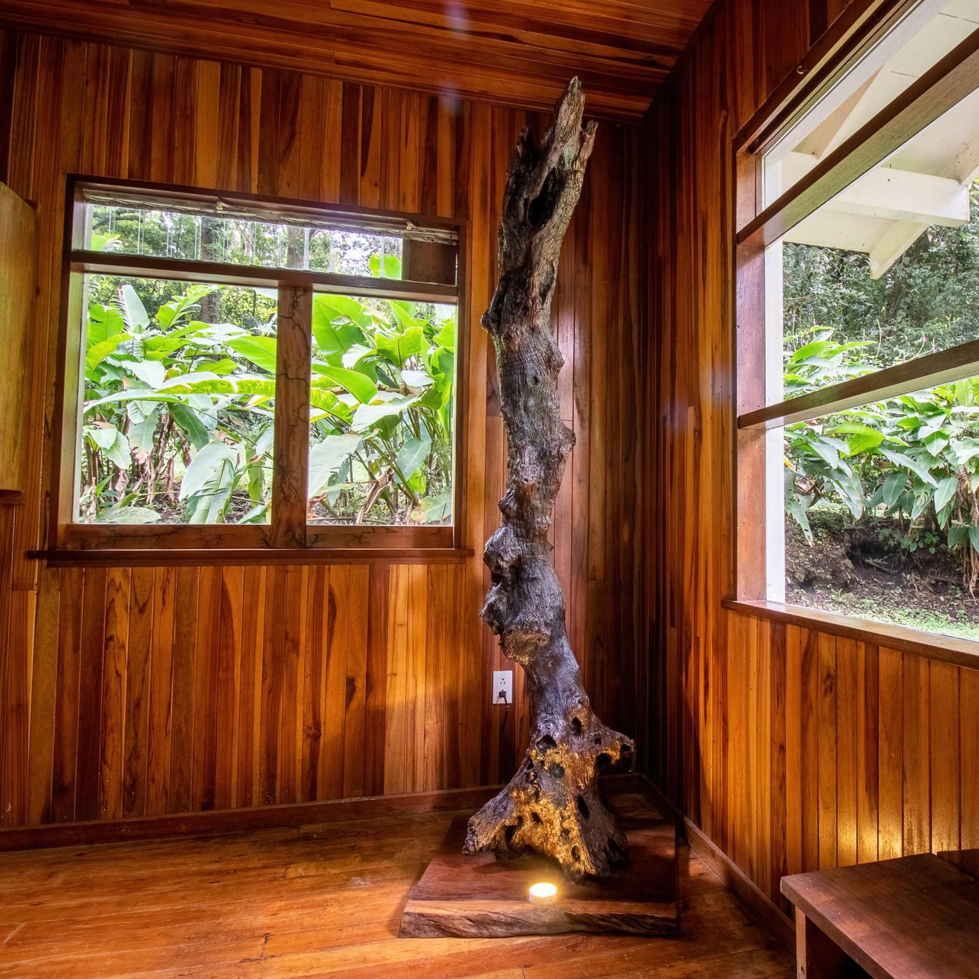 Forest Garden House モンテベルデ エクステリア 写真