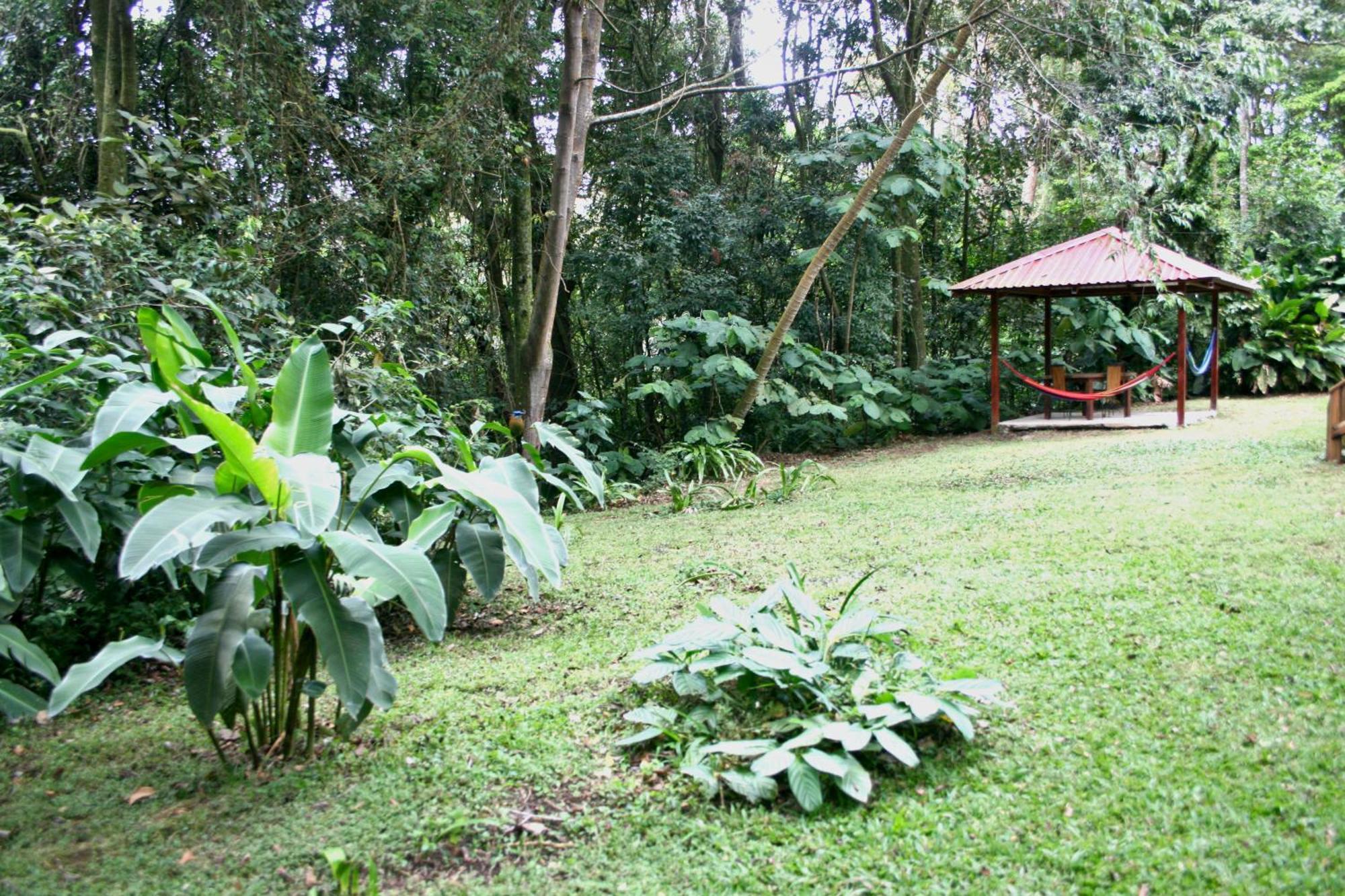 Forest Garden House モンテベルデ エクステリア 写真